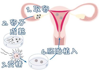 实验室1